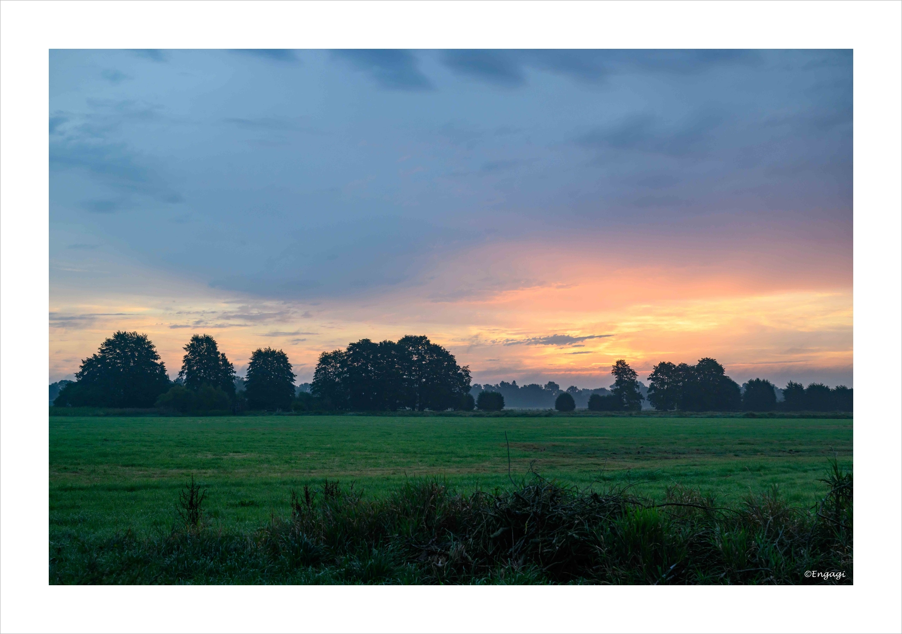 DSC_0470.jpg