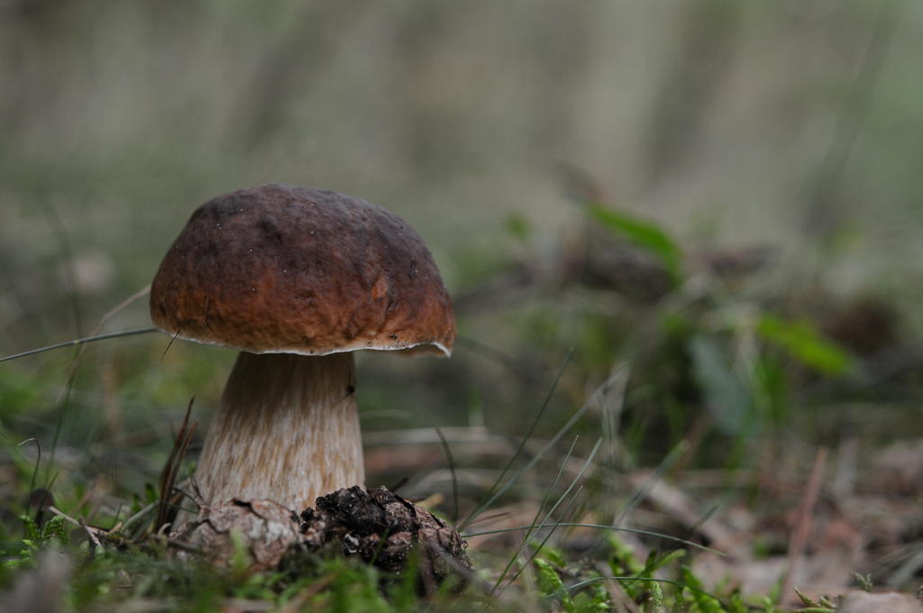 23209415vh.jpg