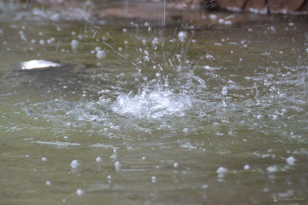 20120223394_f8a90a02af_b.jpg
