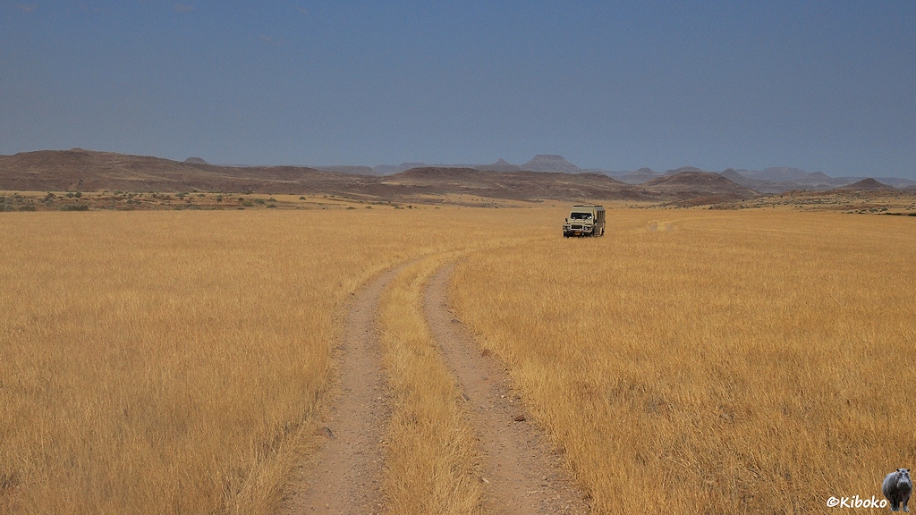 Ein Geländewagen fährt über eine weite Ebene aus trockenem Gras.