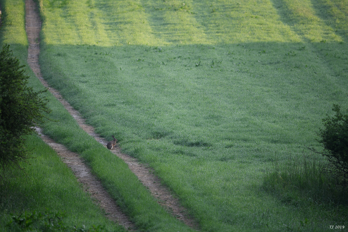 DSC_7090.jpg