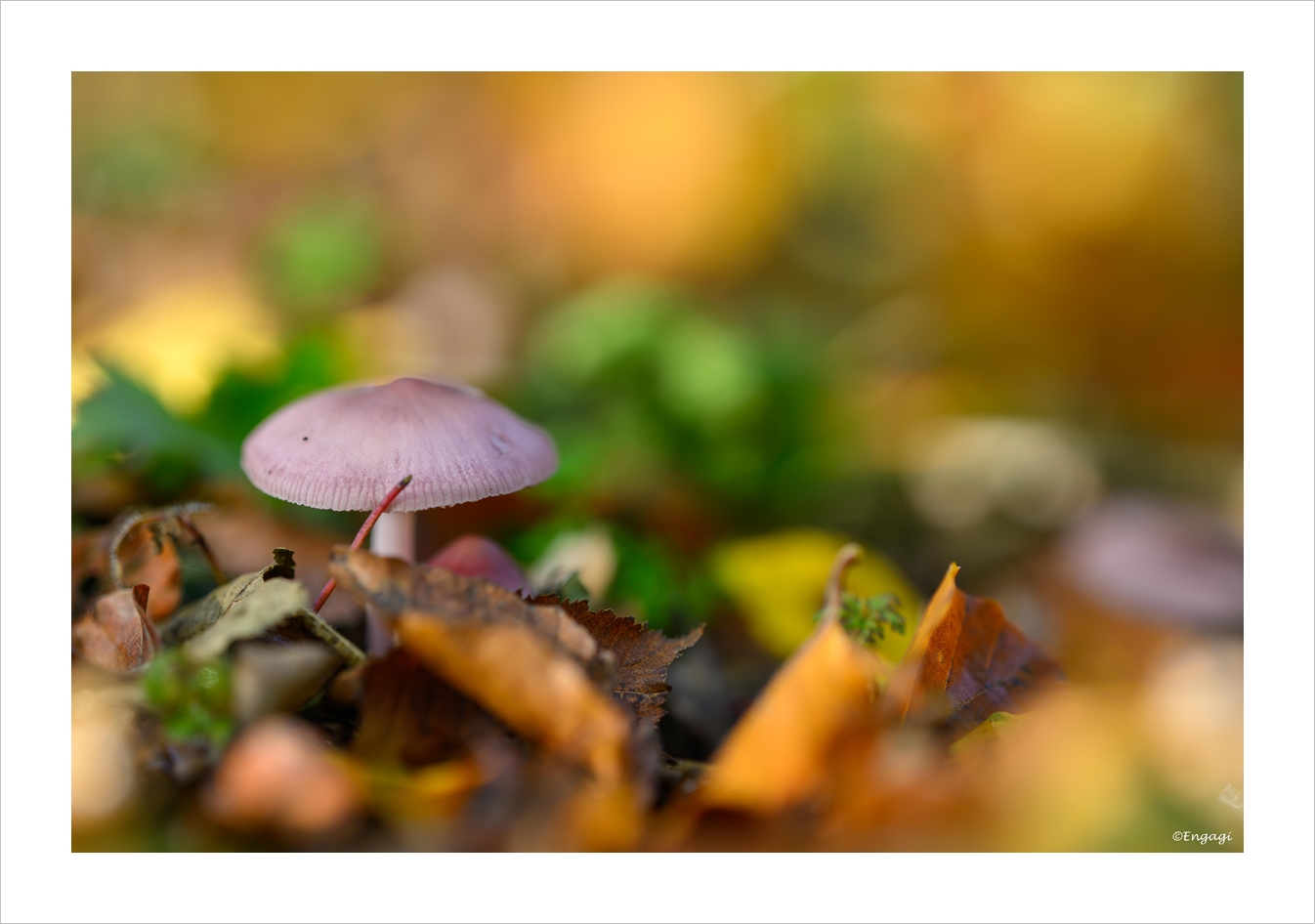 DSC_5378.jpg
