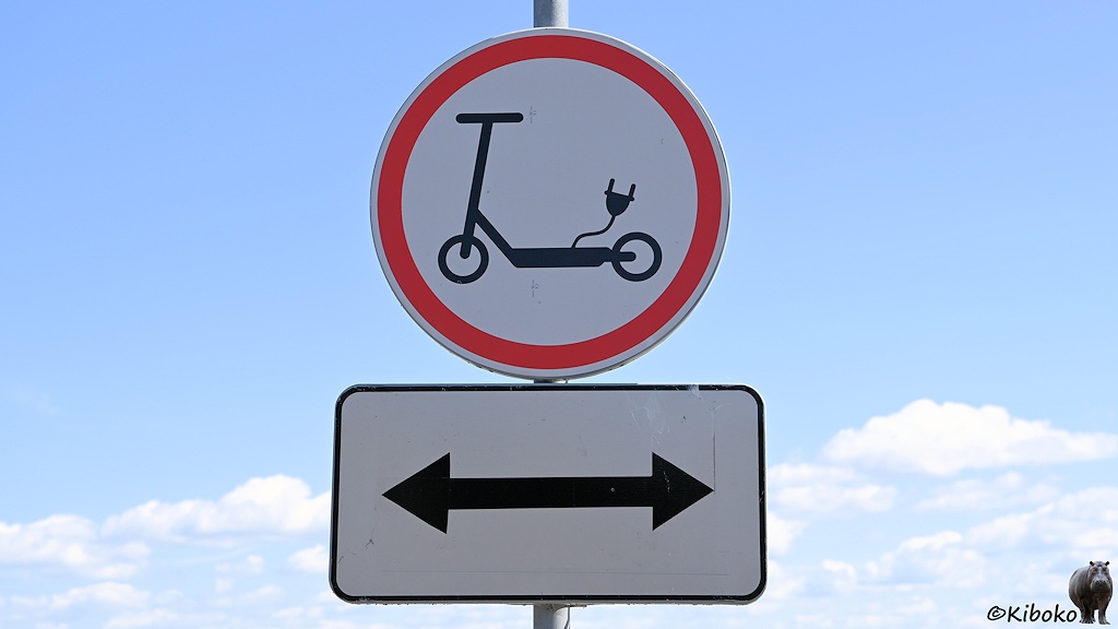 Das Bild zeigt ein rundes Schild mit rotem Rand. Darauf ist ein schwarzer Tretroller mit einem Stecker auf weißem Grund. Darunter ist ein rechteckickges Zusatzschild mit einer waagerechten Linie mit Pfeilspitzen in beiden Richtungen.