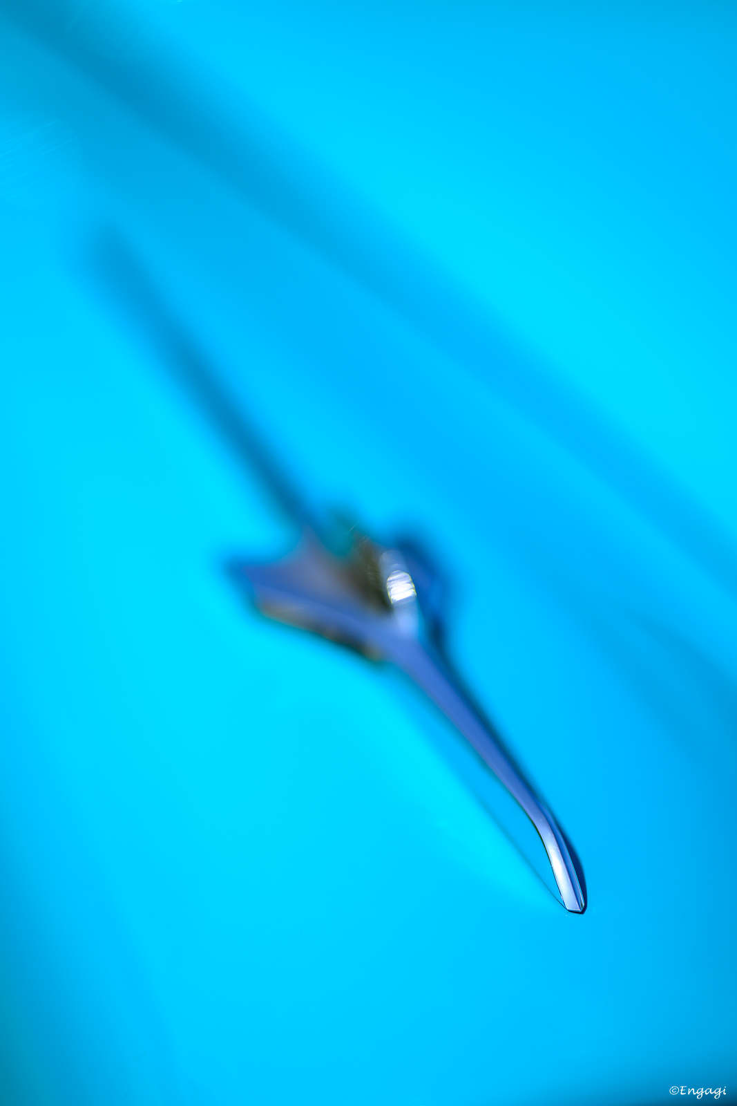 DSC_7962.jpg
