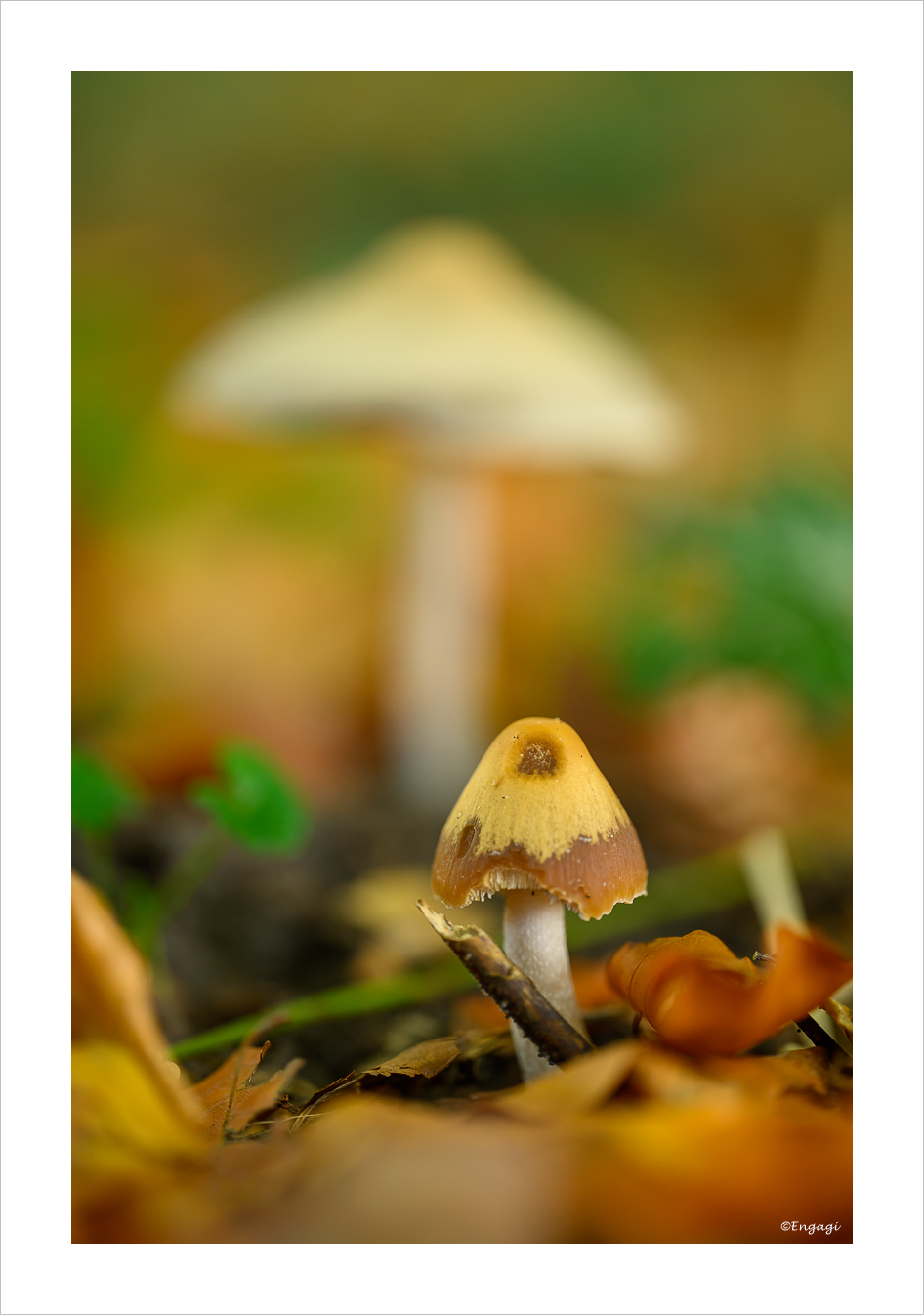 DSC_9376.jpg