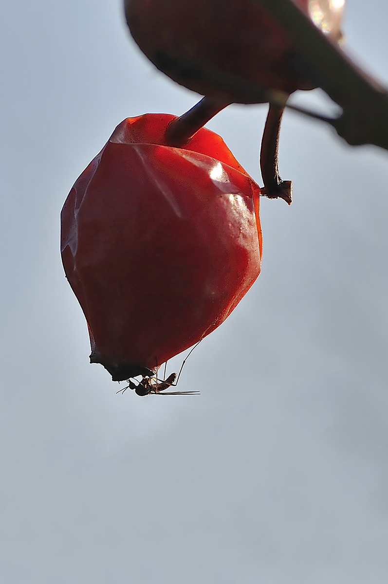 full