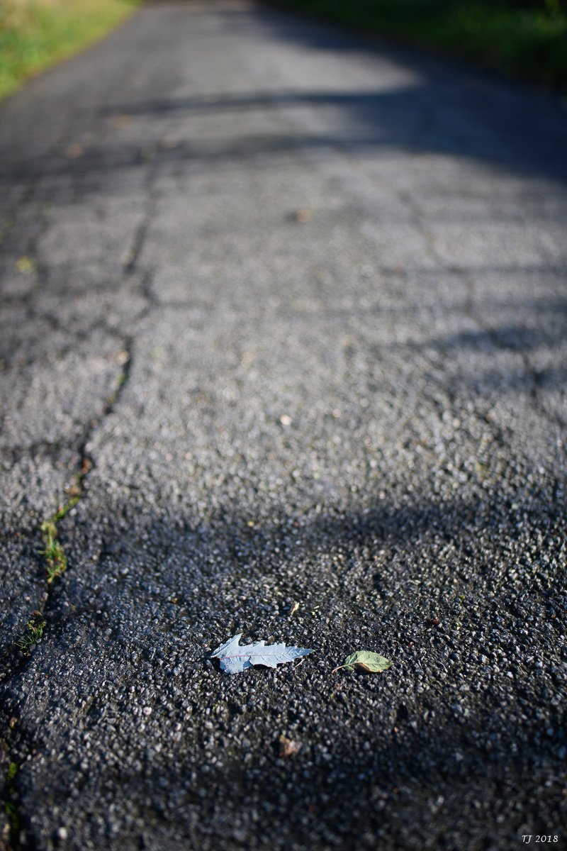 DSC_0025.jpg