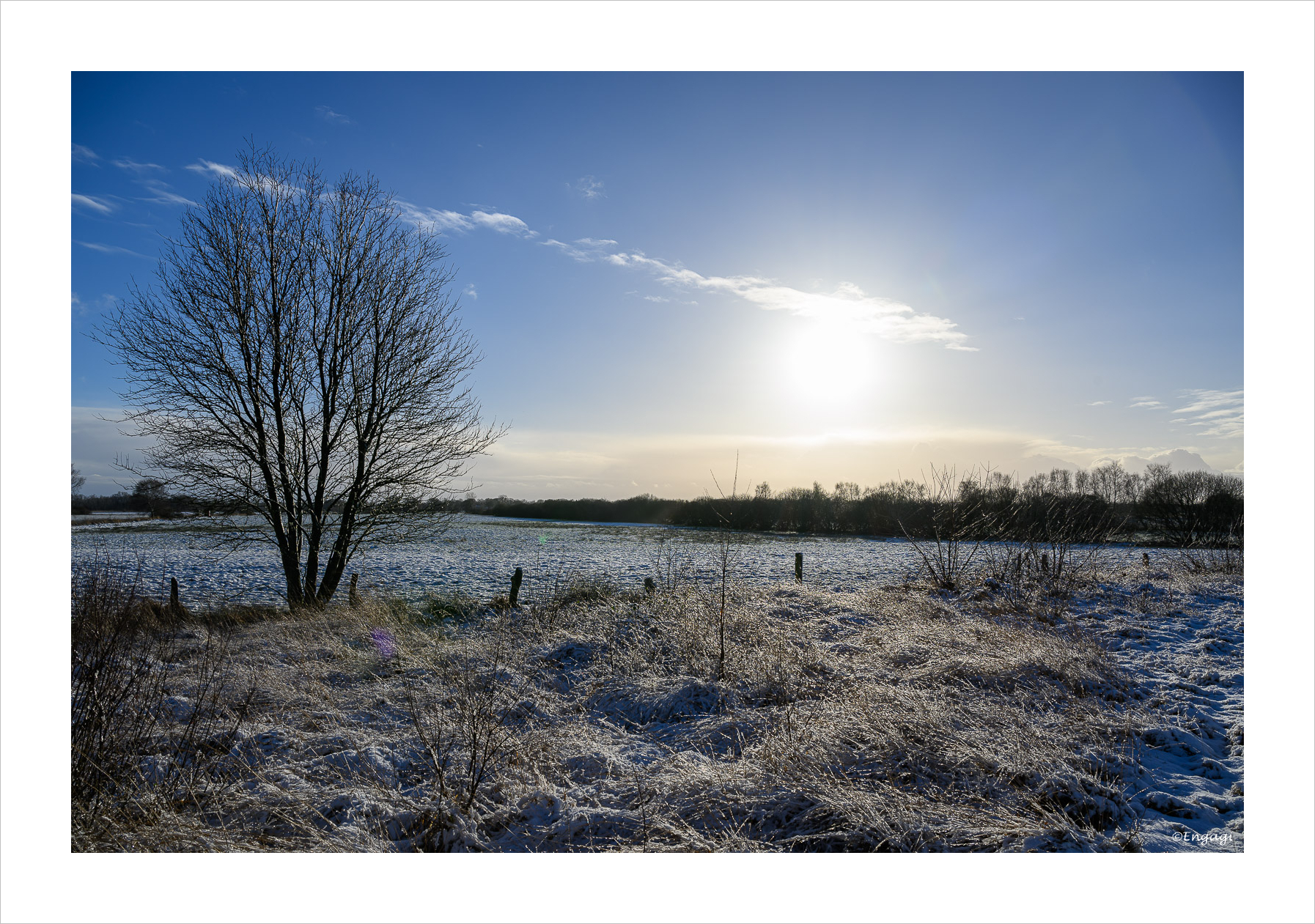 DSC_1042.jpg