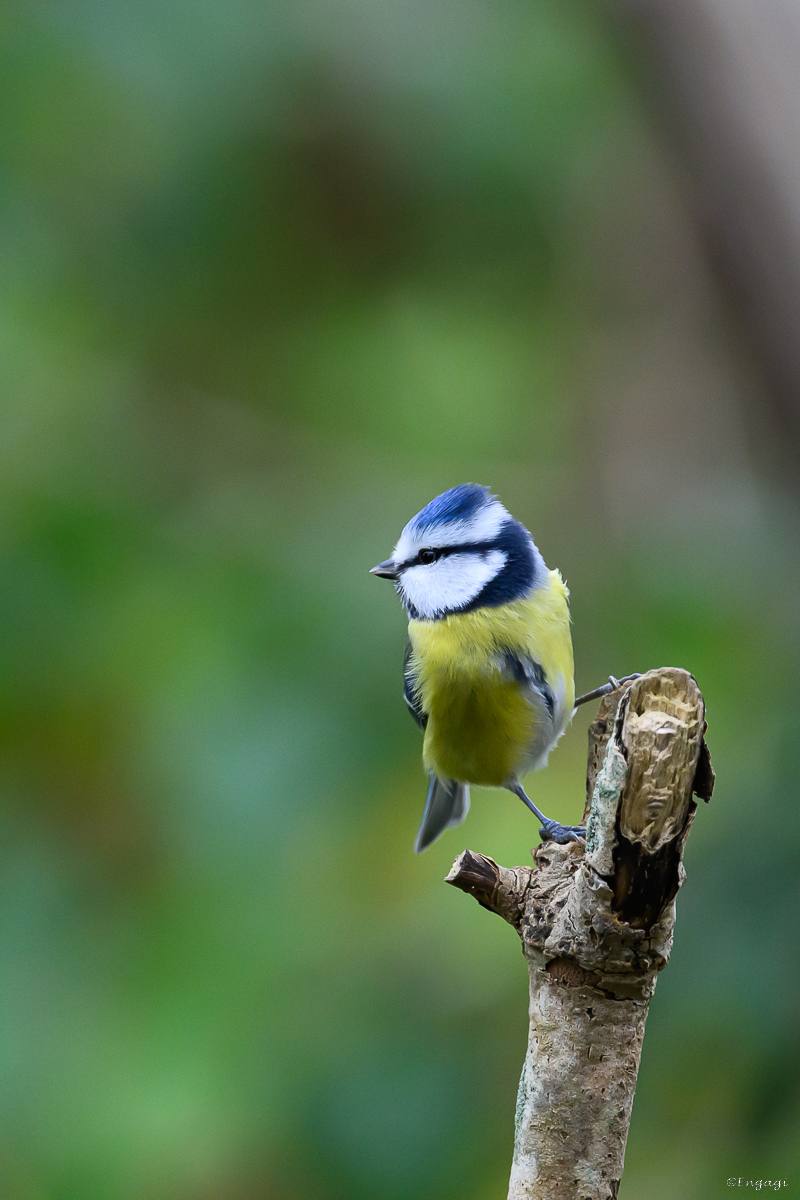 DSC_6700.jpg