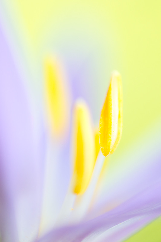 29630933540_d30ccd3b72_b.jpg