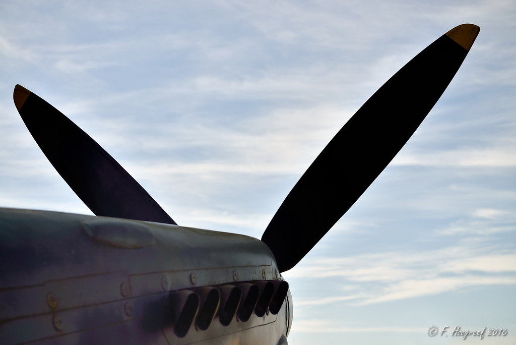 29526542432_415275a50c_b.jpg