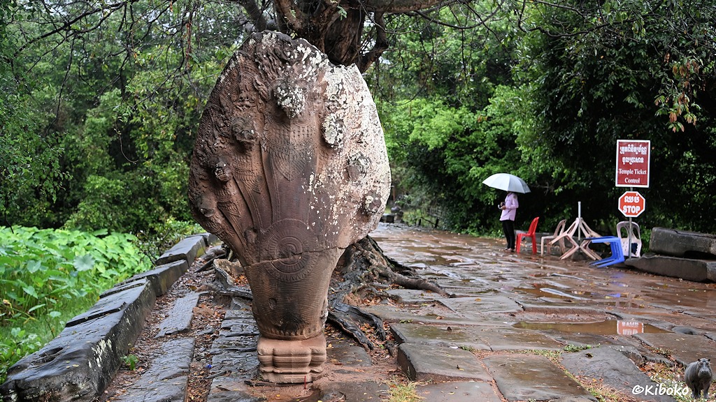 Das Bild zeigt den Eingang zum Tempel. Rechts ist ein Naga, ein aufgerichteter Schlangenkopf aus aus rotem Sandstein. Links steht ein Stop Schild und ein Schild mit der Aufschrift: Ticket Control. Eine Frau mit schwarzer Hose und violettem Hemd wartet unter einem grauen Regenschirm.