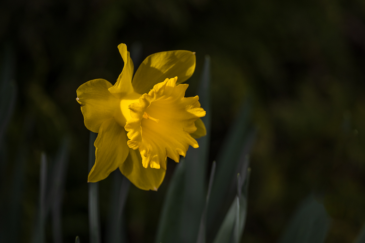 20240314_NZ9_0765NF.jpg
