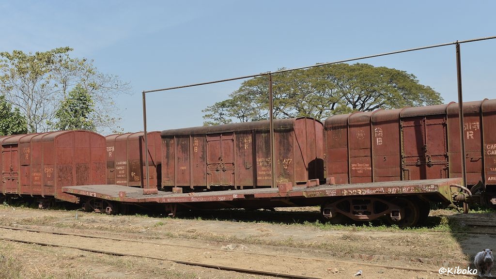 Das Bild zeigt einen braunen vierachsigen Flachwagen. Der Wagen ist durchgebogen und vor dem linken Drehgestell geknickt. Vermutlich wurde er zu schwer beladen. Im Hintergrund stehen mehrere braund zweiachsige Güterwagen.