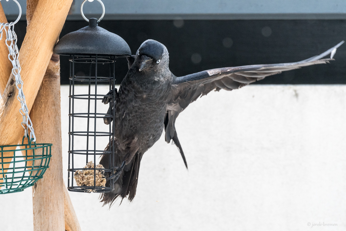 full