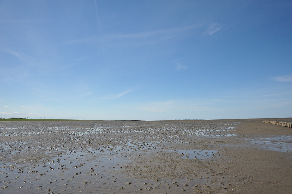 DSE_6469.JPG