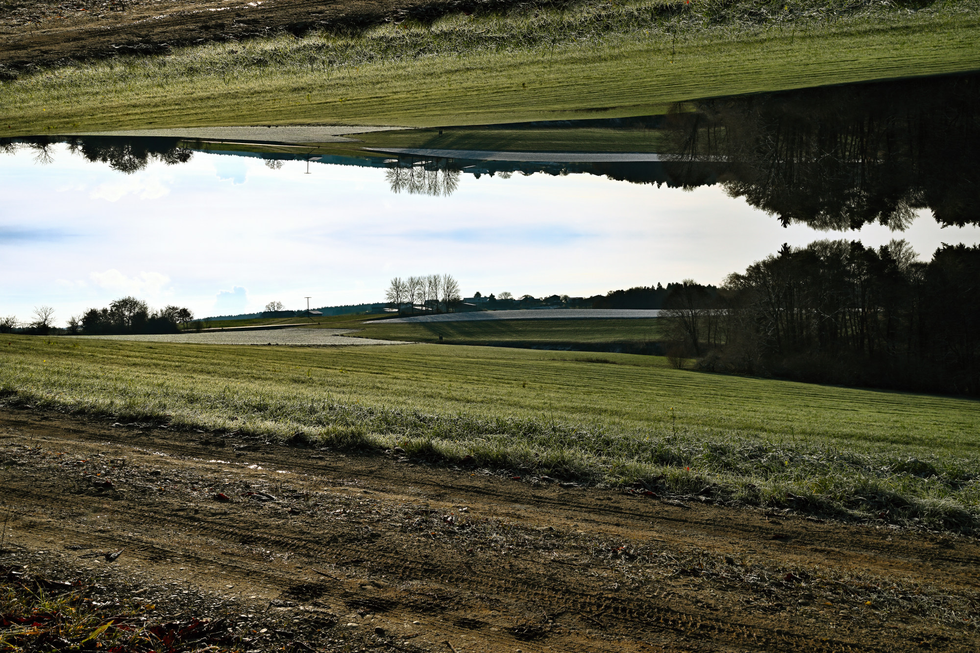 NZ8_1051-002.JPG