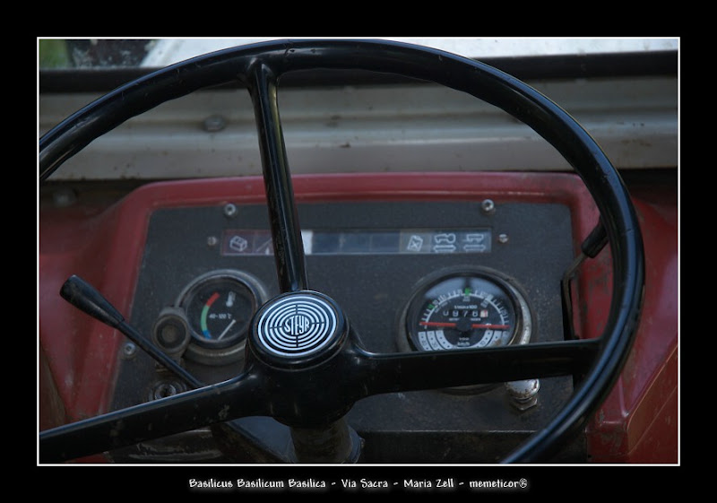 s_DSC_0875.jpg