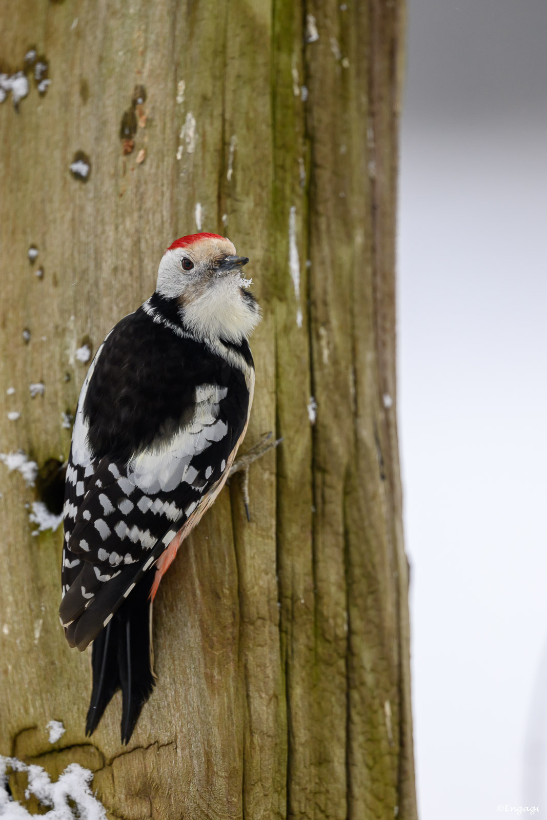 DSC_3879.jpg