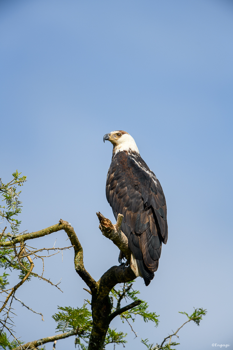 Uganda%202276.jpg
