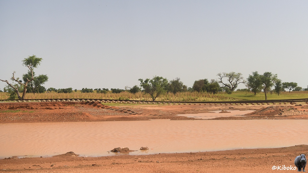 Das Bild zeigt frei hängende Bahngleise über einner kleinen Wasserfläche. Die Betonschwellen hängen an den Schienen. Hinter der Bahnstrecke stehen einzelne Bäume und Hirsefelder.