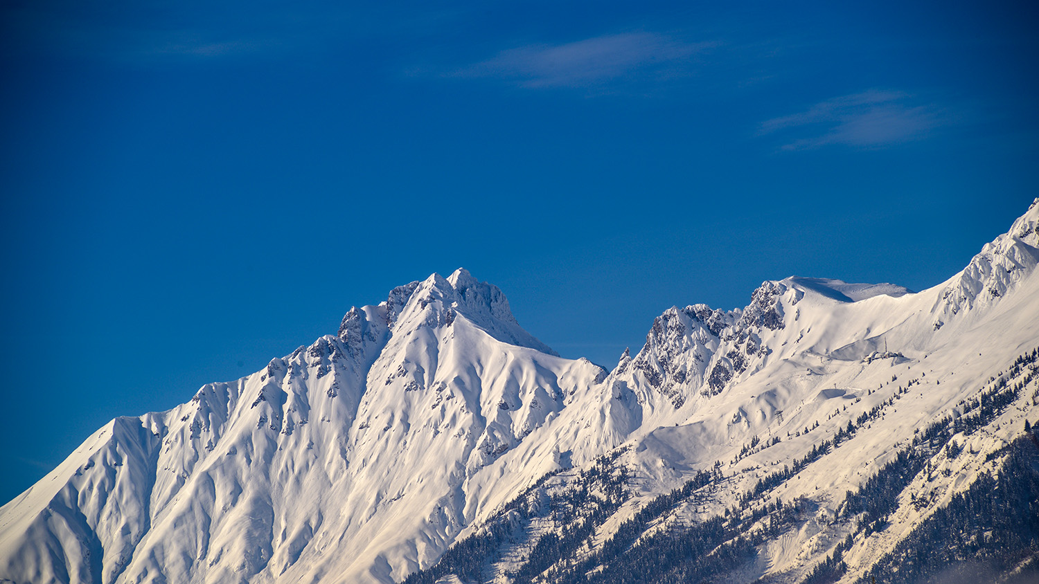 20190116_NZ6_1430NF.jpg