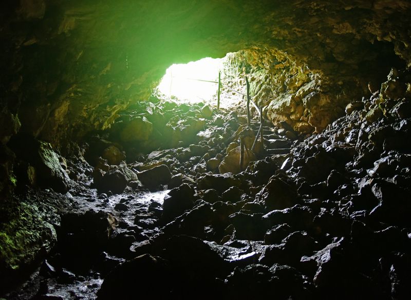 d75_9892.jpg