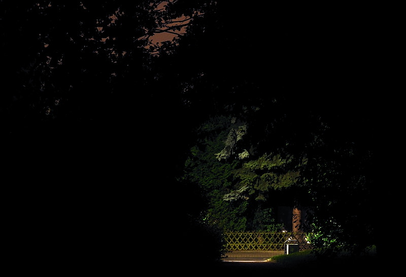 nachtsausdemwald2.jpg