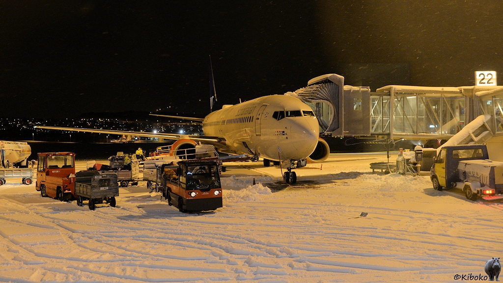 Das Bild zeigt ein weißes Düsenflugzeug von vorn mit einer halb angedockten Gangway. Vor dem Flugzeug fahren rote Schlepper mit Gepäckanhänger durch den tiefen Schnee.