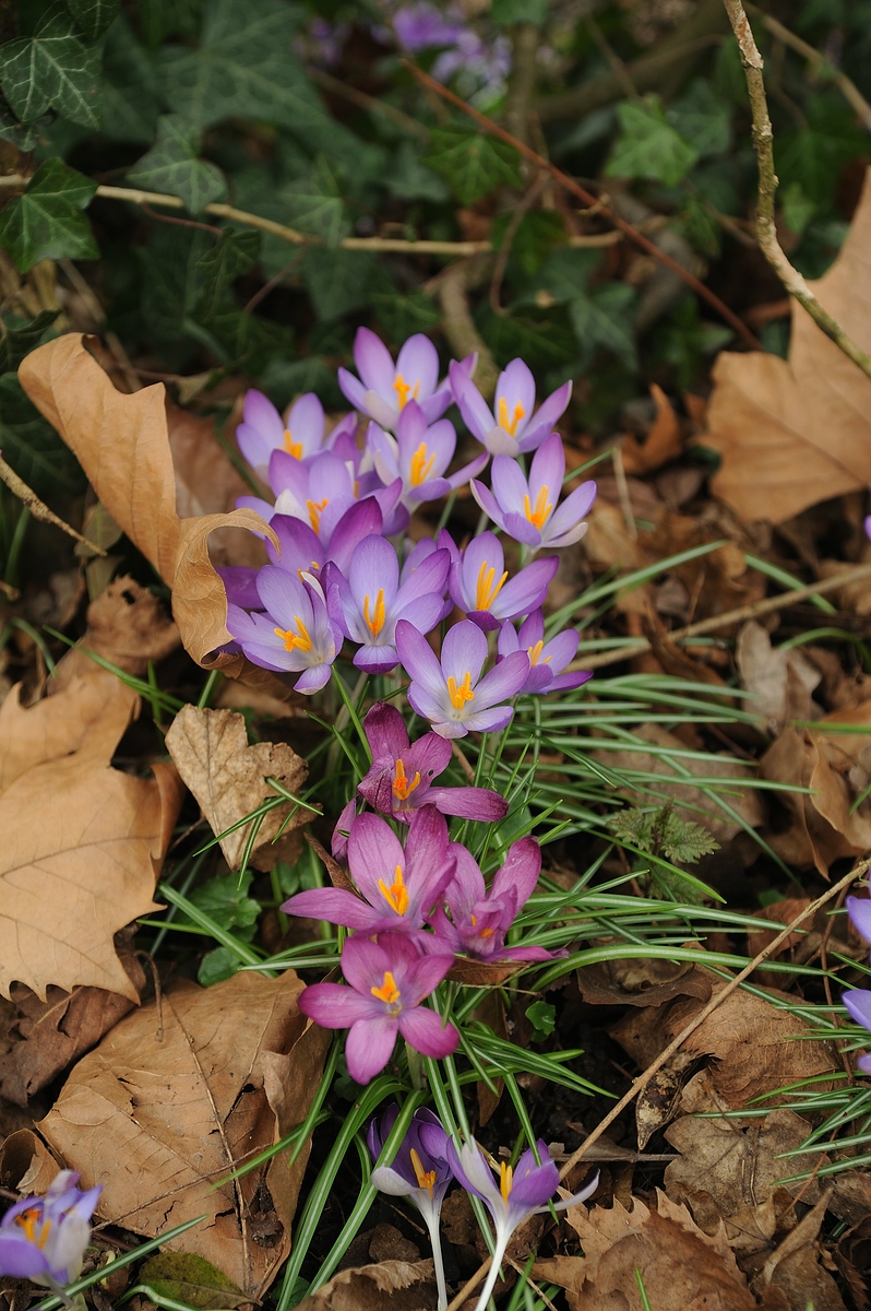 CK.R._DSC_9942.jpg
