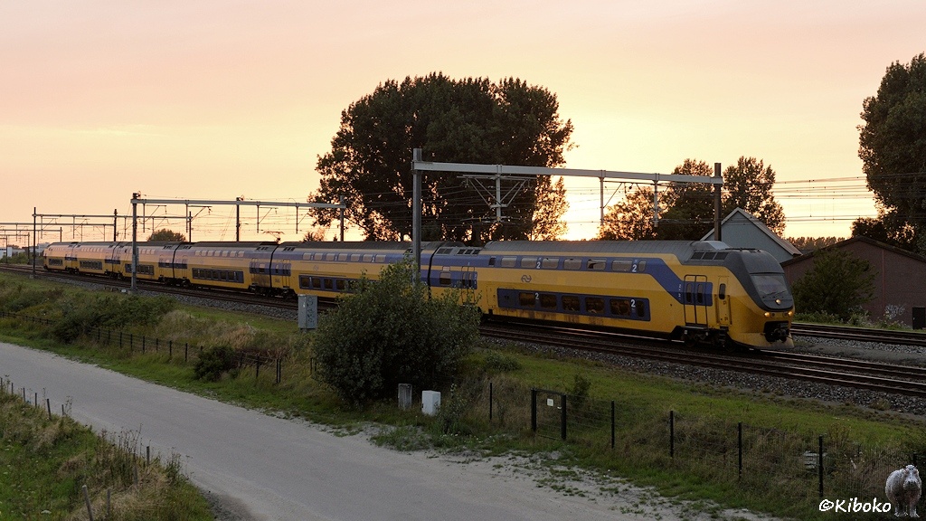 Das Bild zeigt einen sechsteiligen, gelben Doppelstocktriebwagen mit blauen Fensterband und grauem Dach.