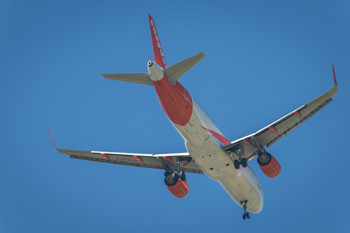 20250625_NZ9_2279_DPNF.jpg