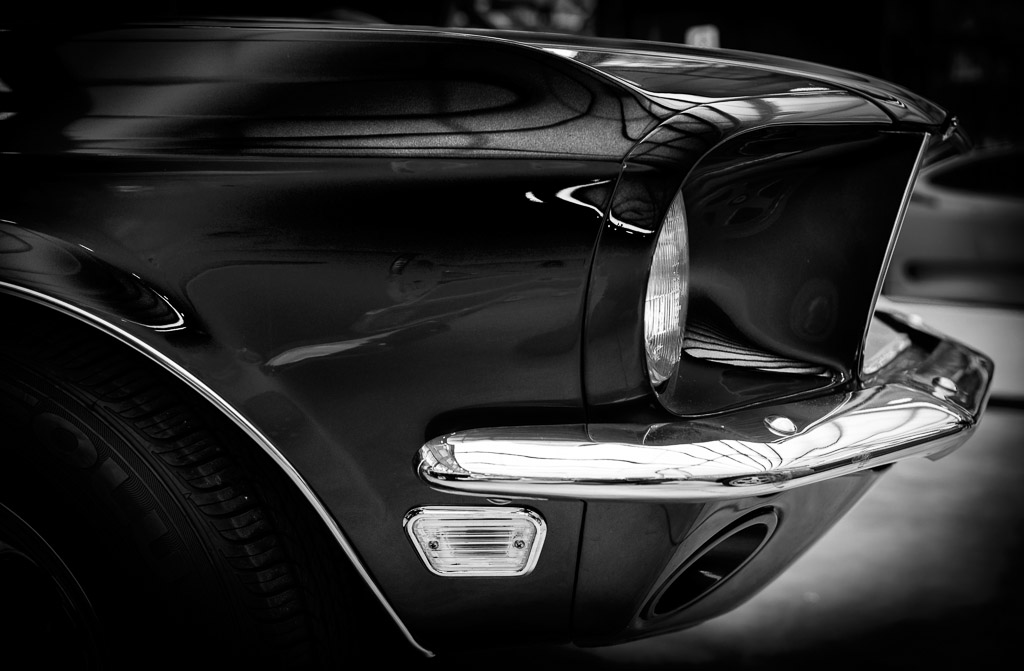 Mustang_4530_sw.jpg