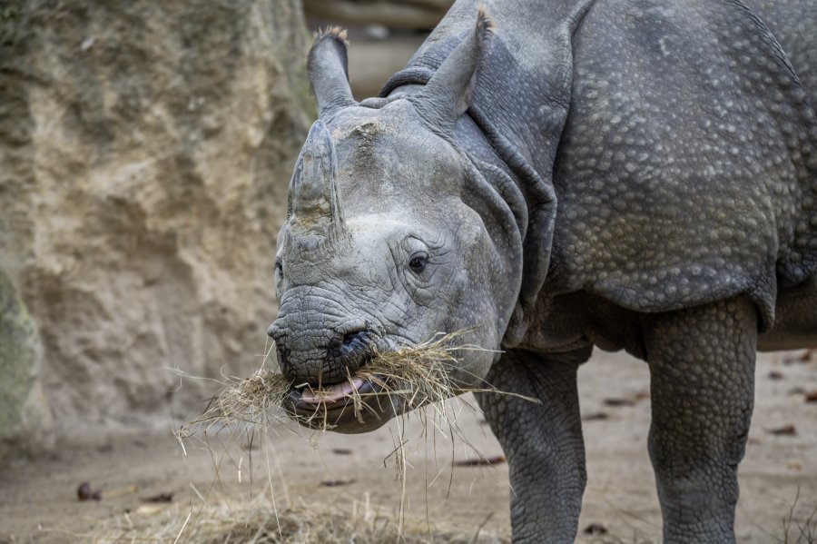 zoovienna22_03.jpg