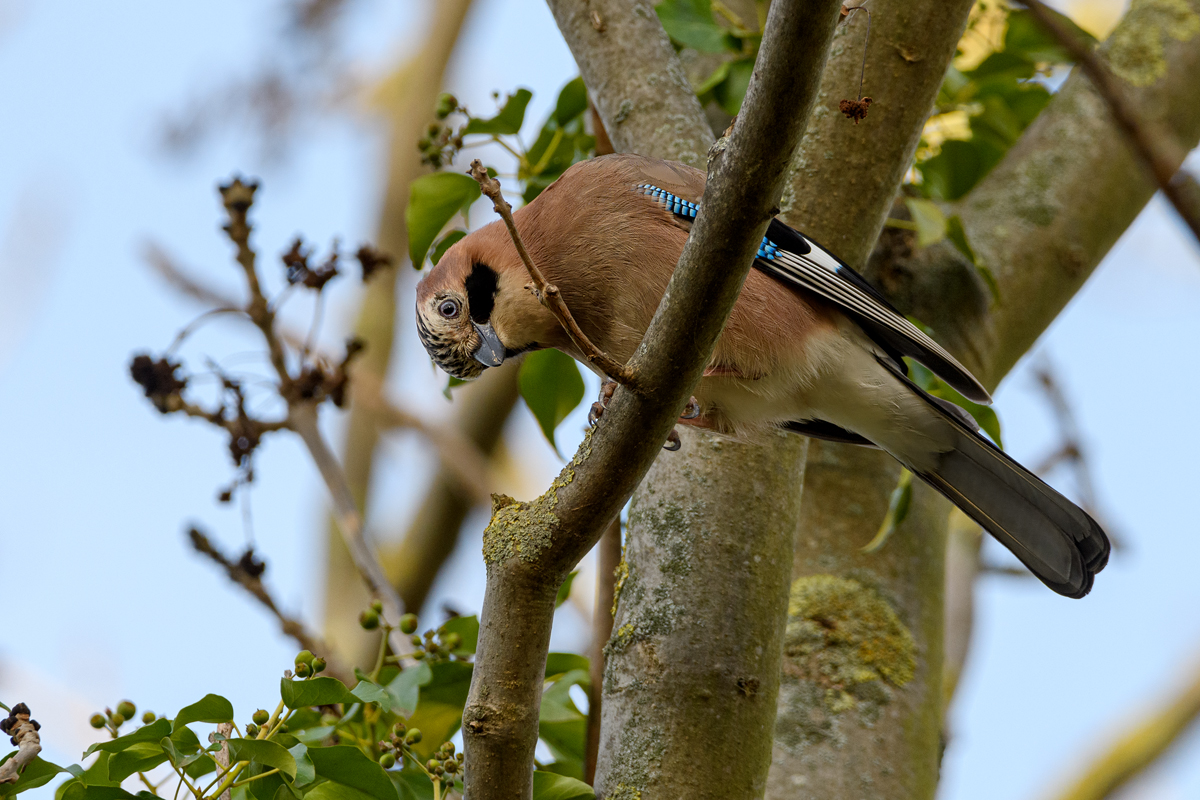 full