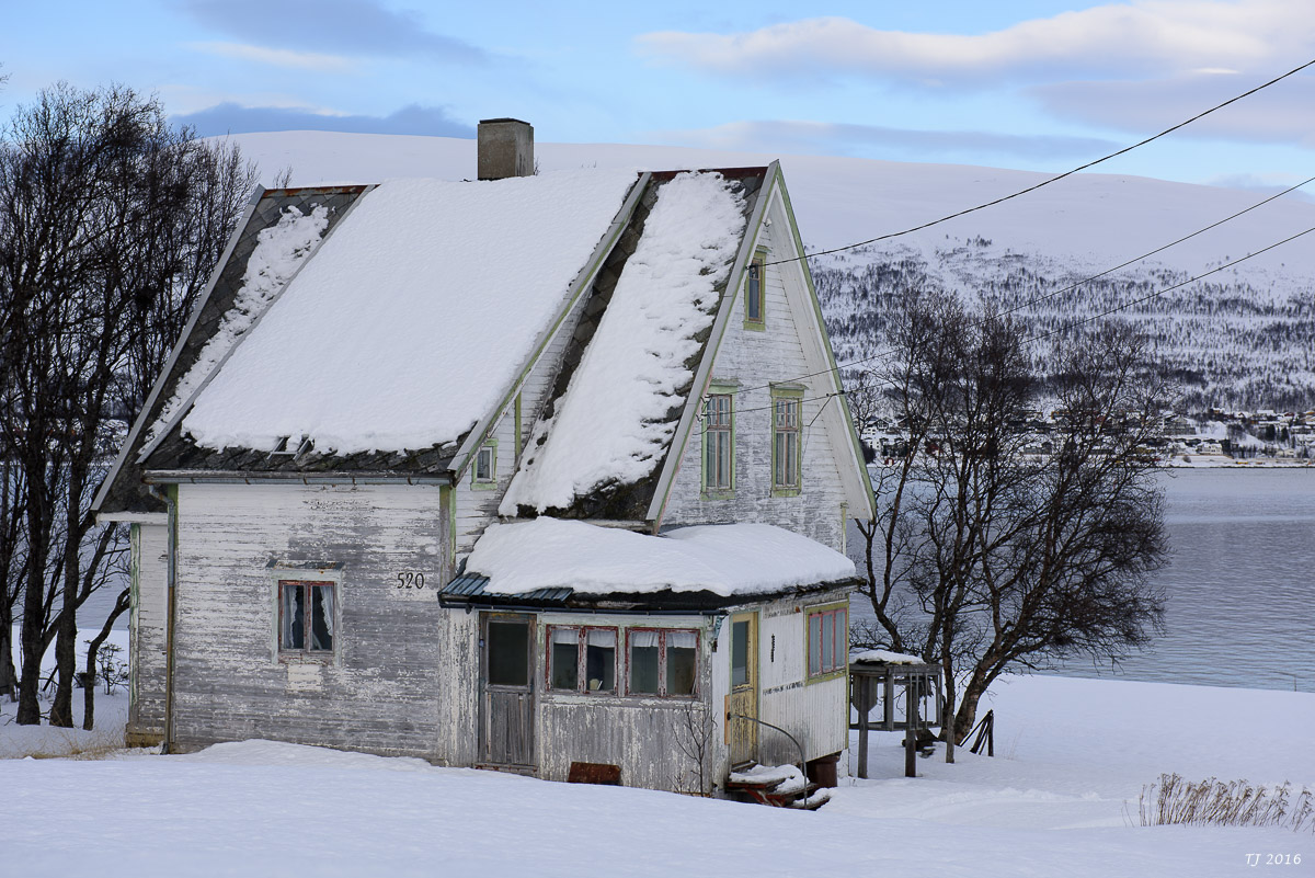 DSC_2467.jpg