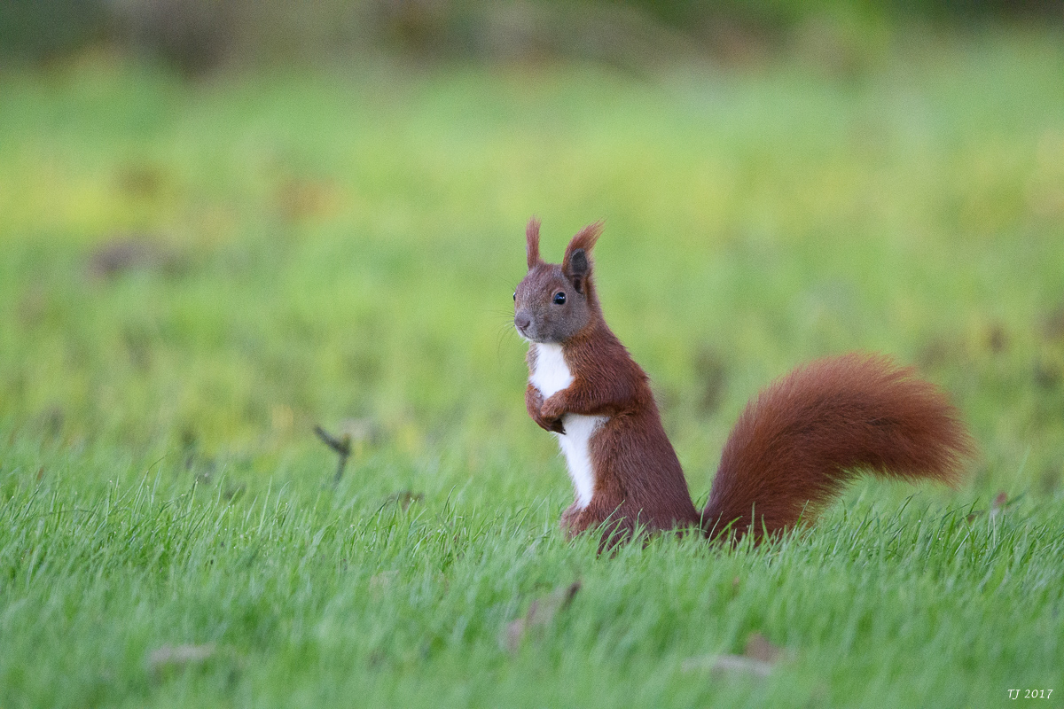 DSC_2861.jpg