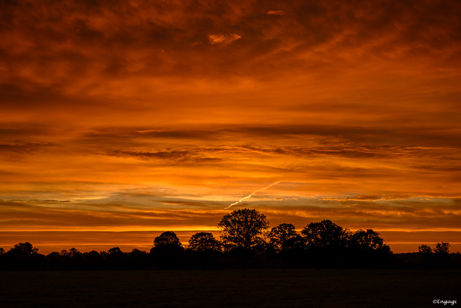 DSC_8730.jpg