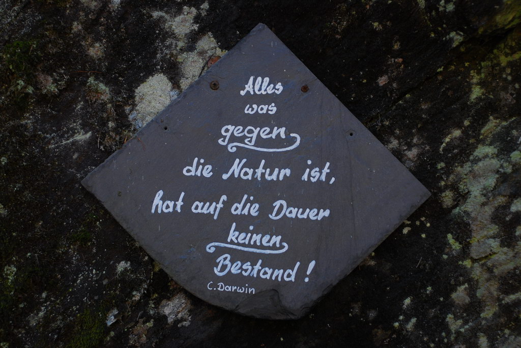 NATUR1.JPG