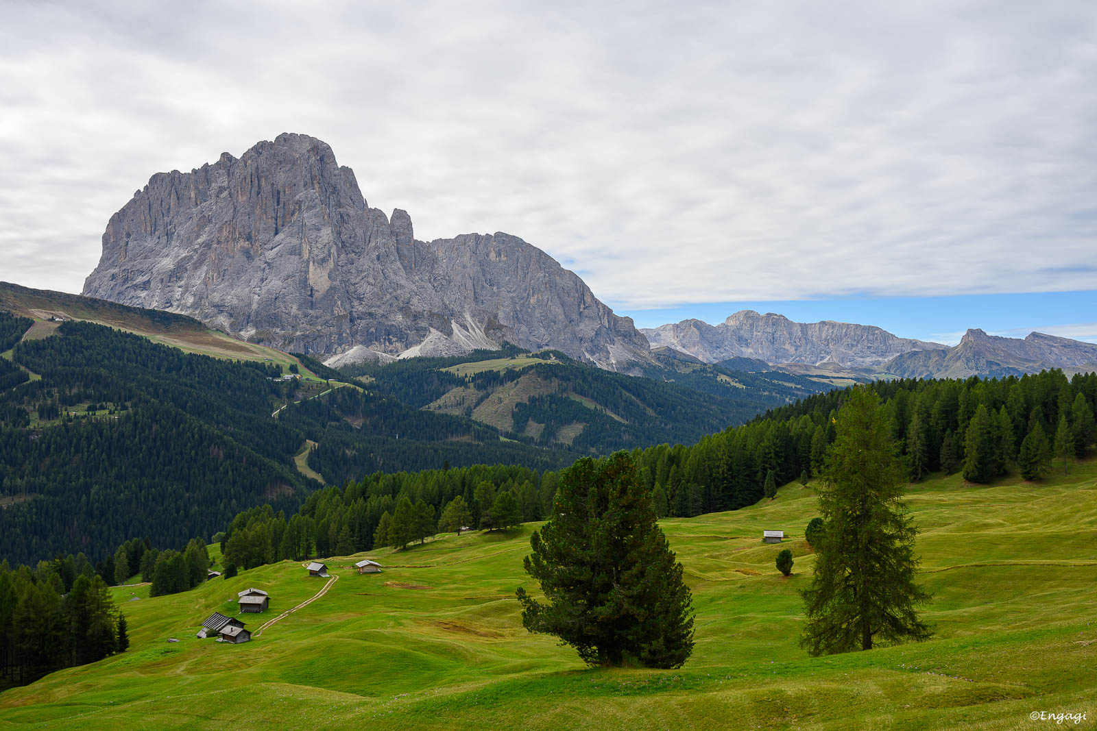 DSC_8866.jpg