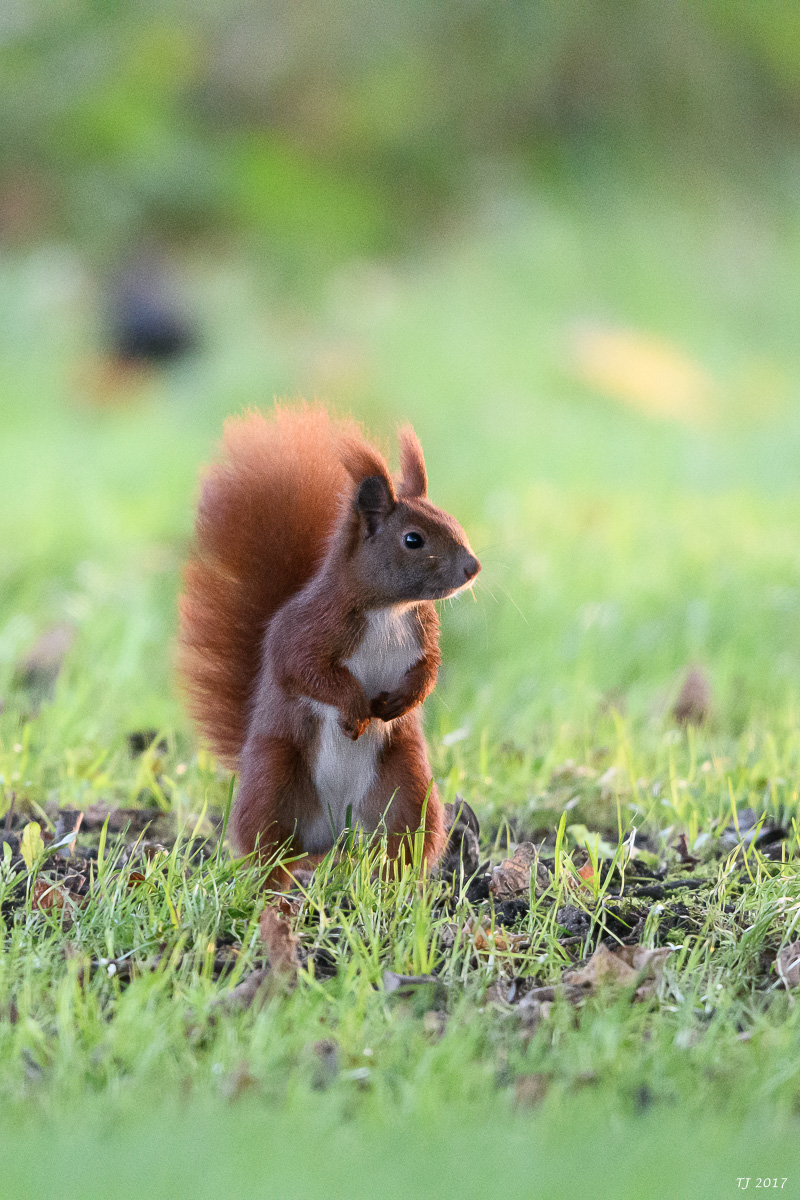 DSC_2869.jpg