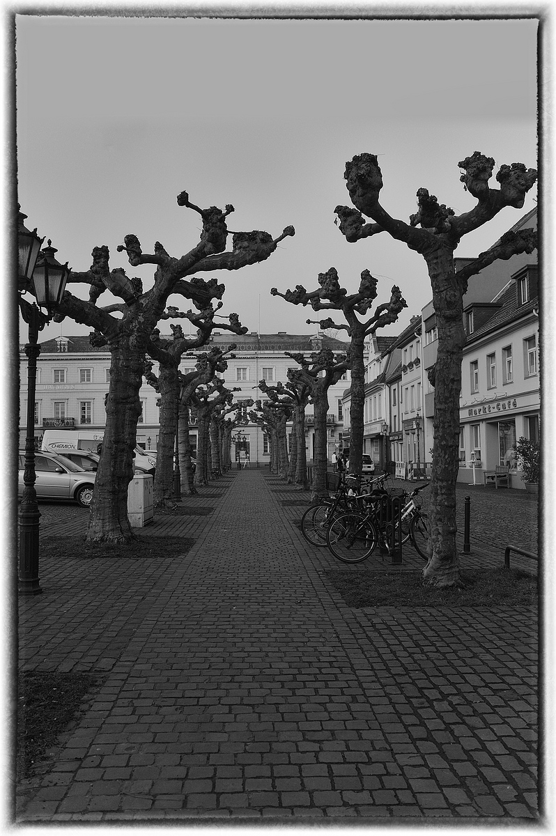CK.R._DSC_8710_SW.jpg