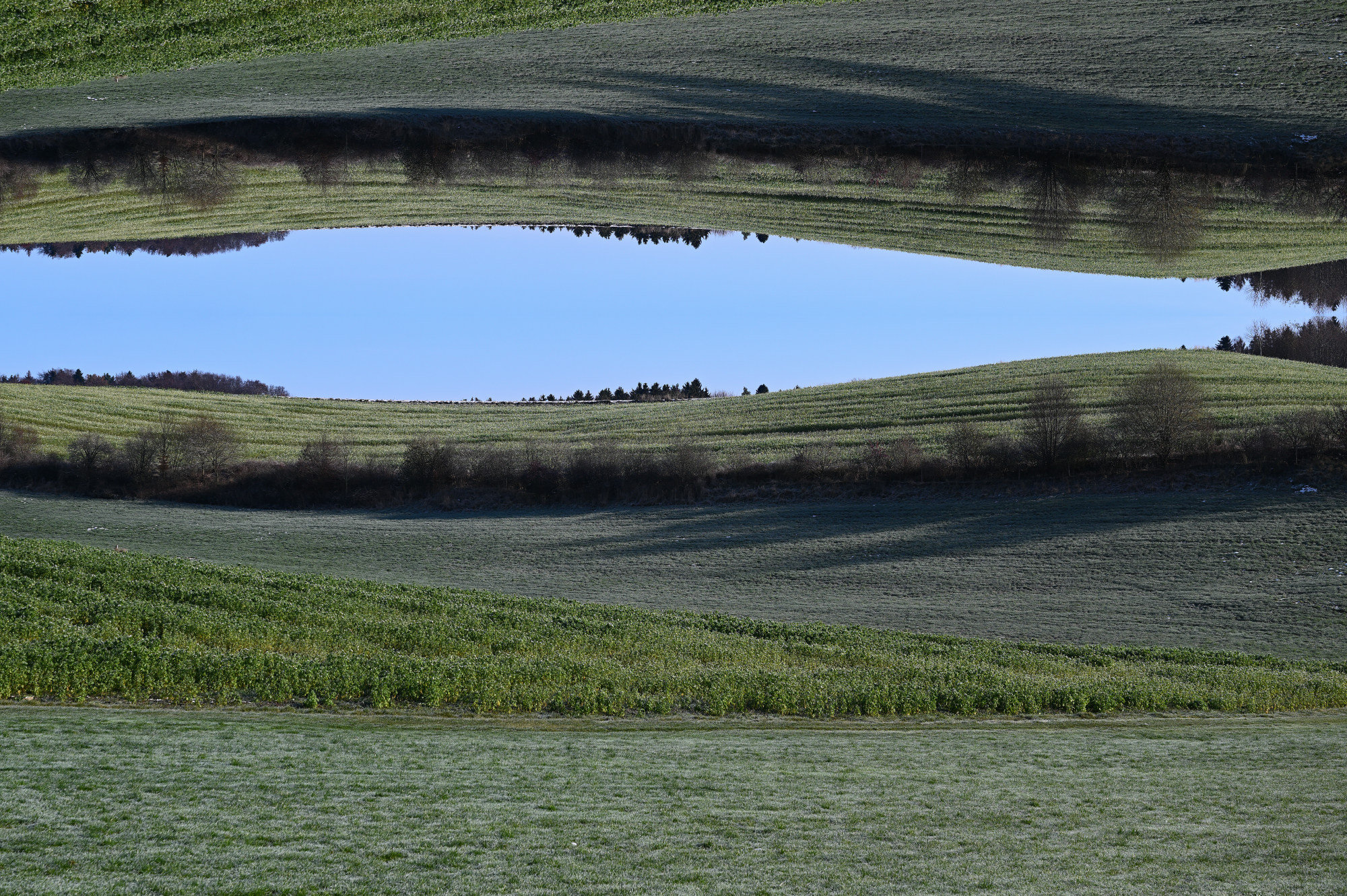 NZ8_1053-004.JPG