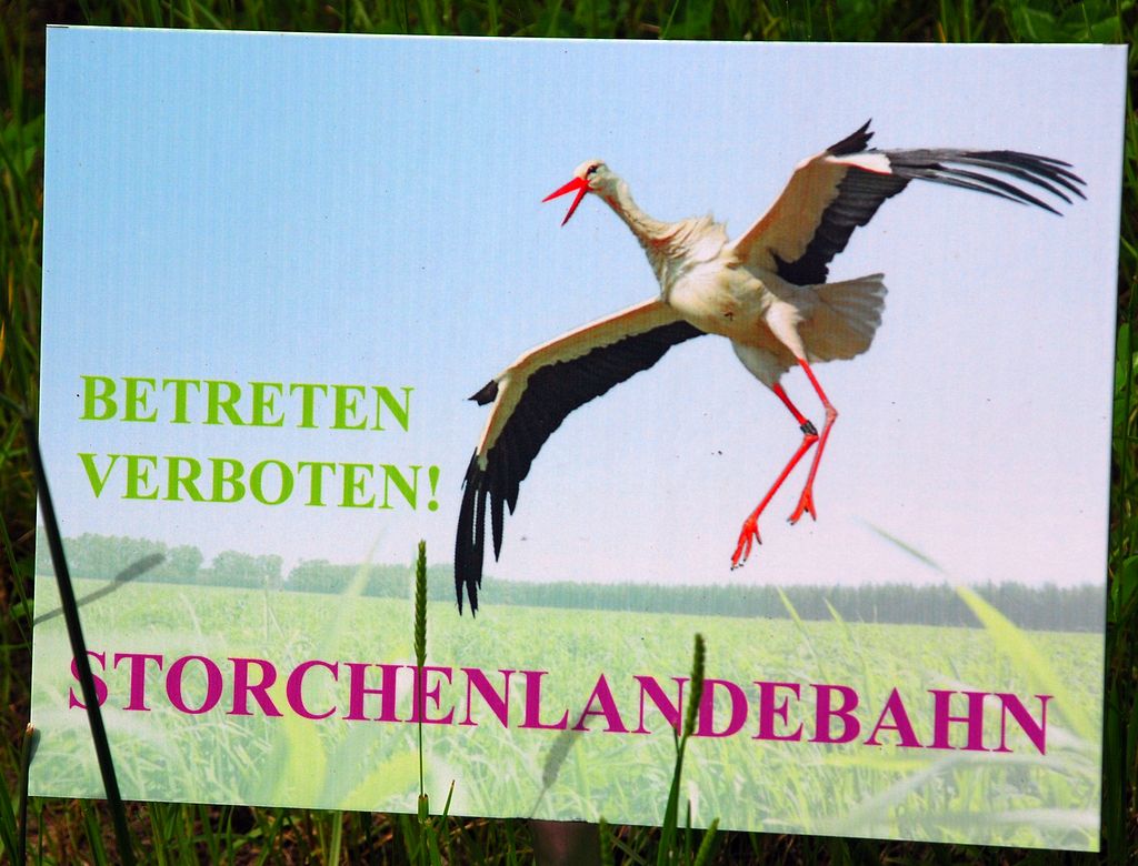 STORCHENLANDEBAHN.jpg