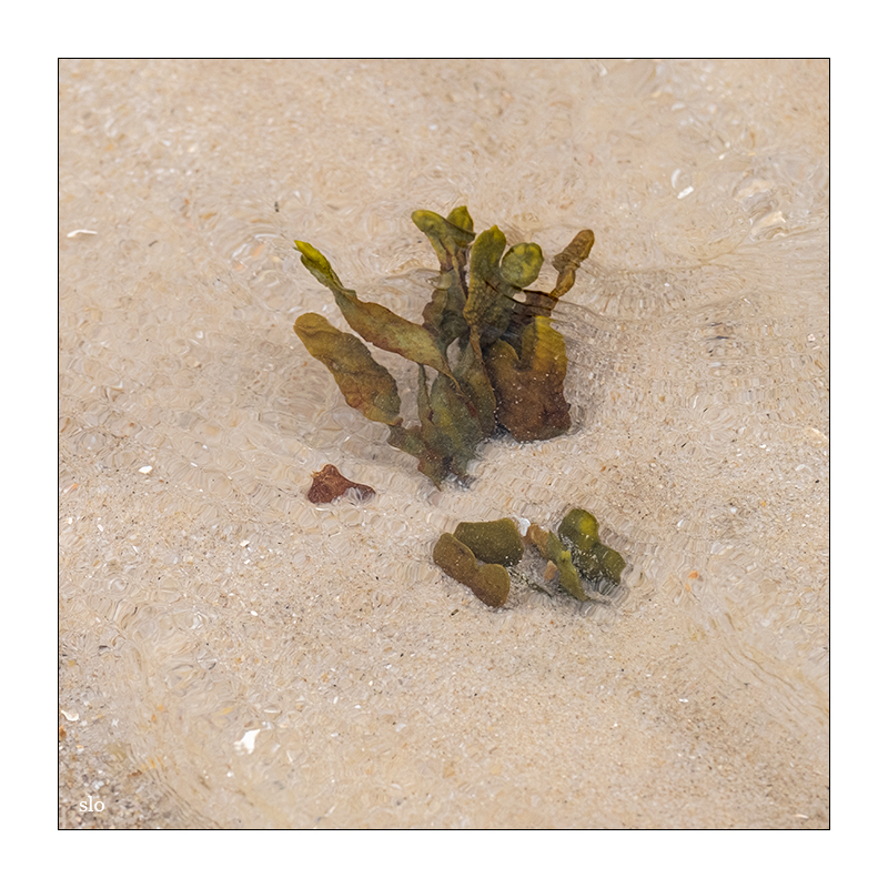 full