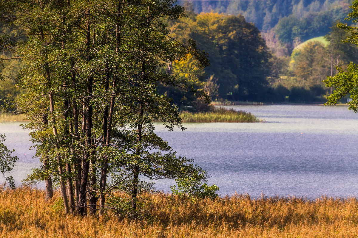 20210918_D850_6019NF.jpg