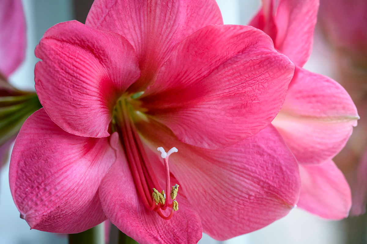 20201229_NZ7_4033NF.jpg