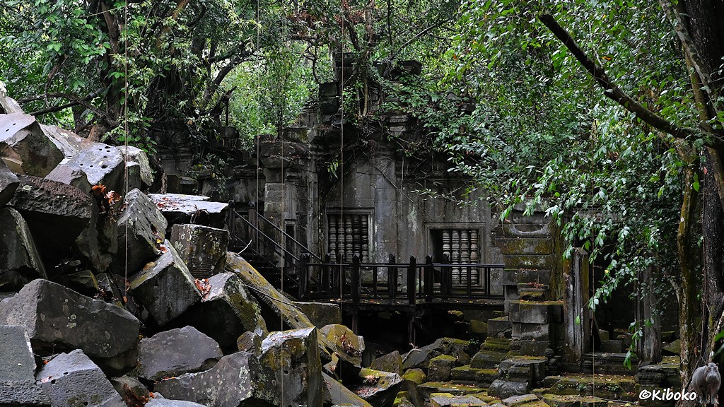 Das Bild zeigt eine Ruine aus grauem Sandstein zwischen dichter Vegetation. Davor ist ein Holzsteg. Am linken Bildrand ist ein großer Haufen mit Steinquadern.