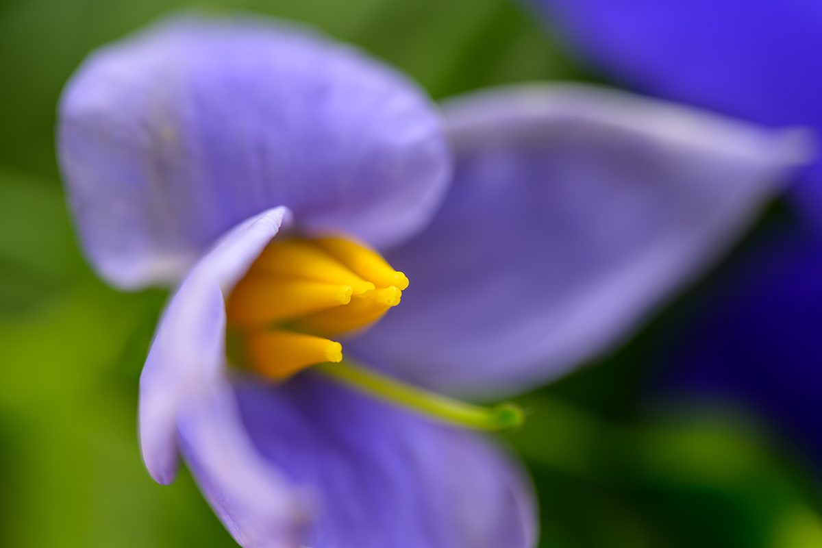 20220729_NZ9_5385_DxONF.jpg