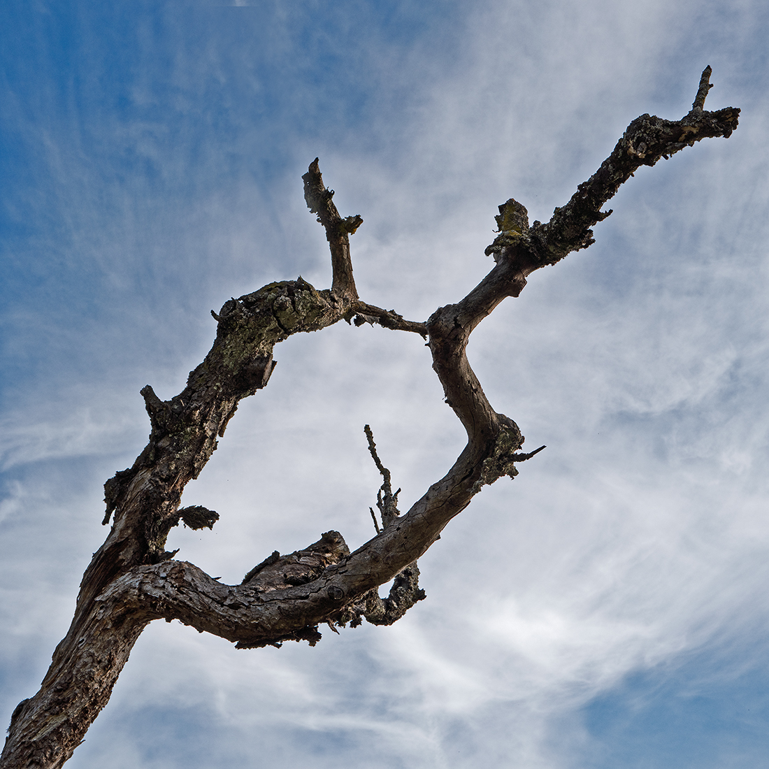 full